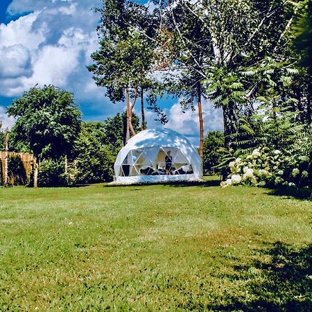 B Our Guest At Your Cozy Hideaway Dome Near Dresden Frauendorf  Экстерьер фото